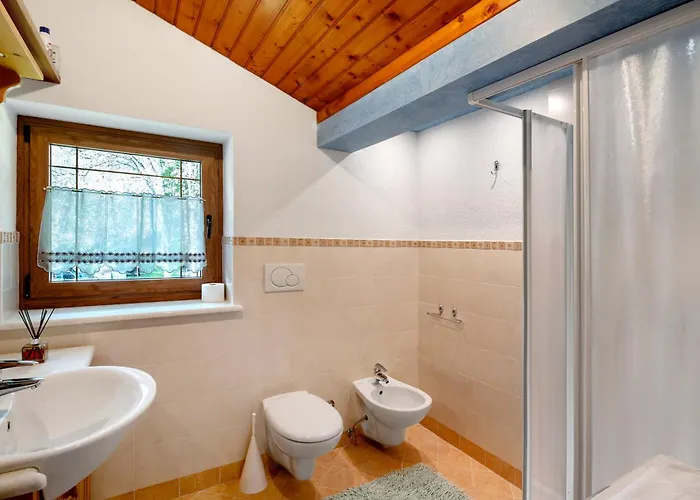 Palmina Apartman Falcade